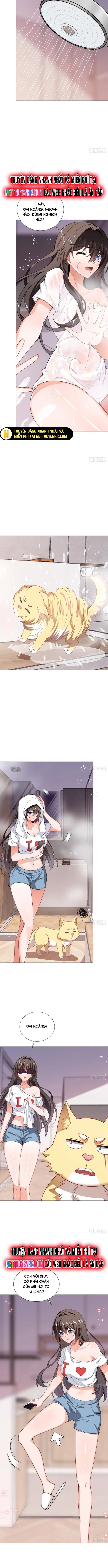 Kế Hoạch Bồi Dưỡng Streamer Của Cẩu Hoàng Chương 4 Ảnh 4