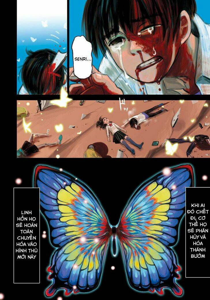 Butterfly Storage Chương 1 Ảnh 6