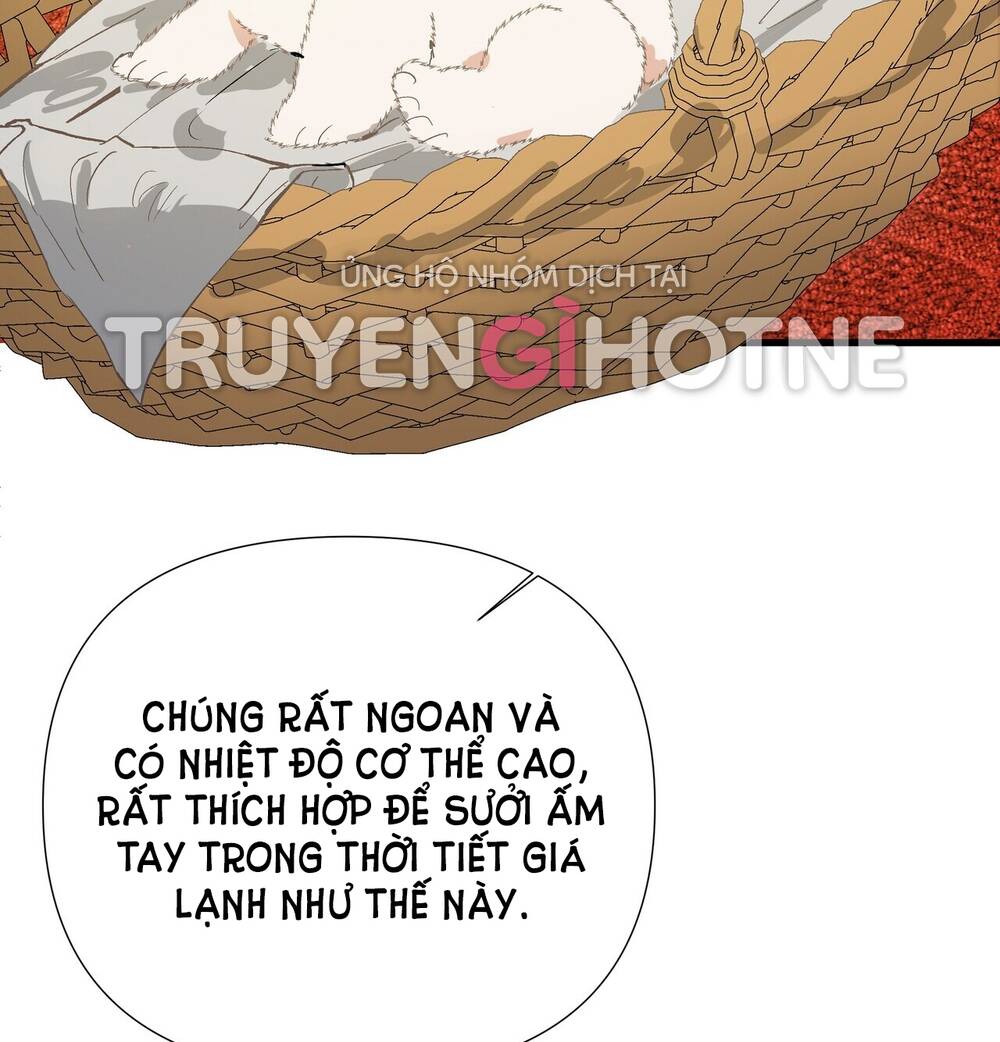Nếu Ngài Cần Một Người Em Gái Giả Chương 7.1 Ảnh 4