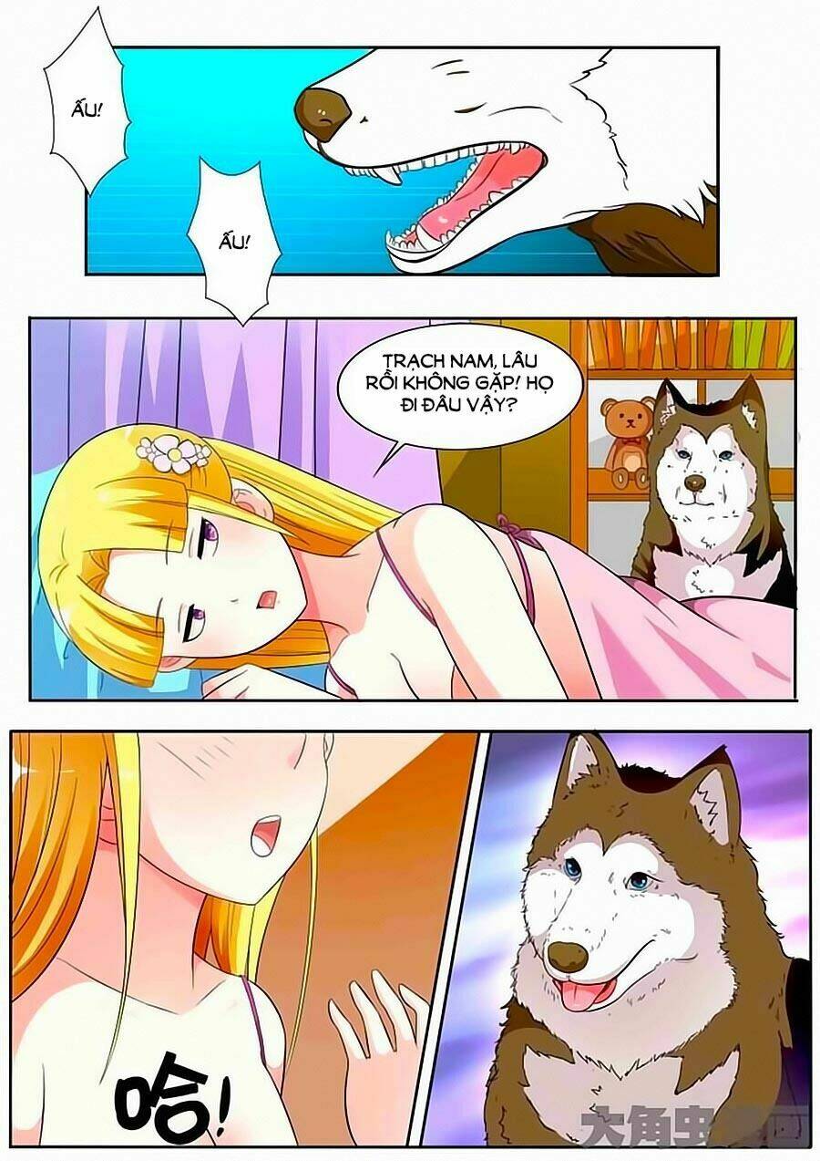 Mau Lấy Con Mèo Đó Ra Chương 17 Ảnh 12