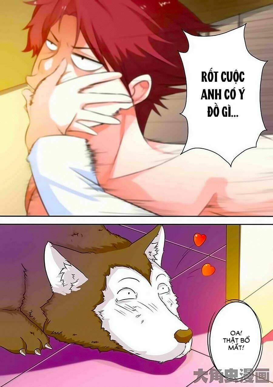 Mau Lấy Con Mèo Đó Ra Chương 19 Ảnh 10