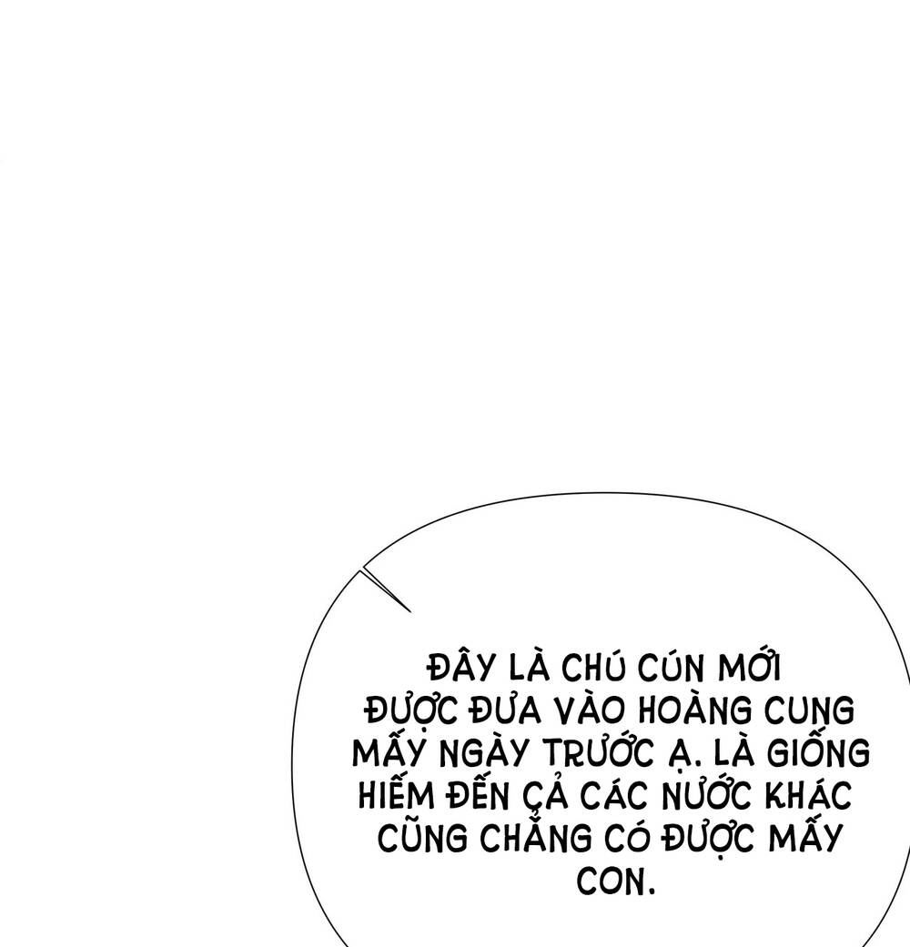 Nếu Ngài Cần Một Người Em Gái Giả Chương 7.1 Ảnh 2