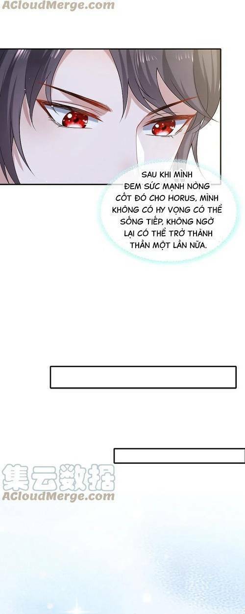 Sủng Hậu Của Vương Chương 169 Ảnh 9