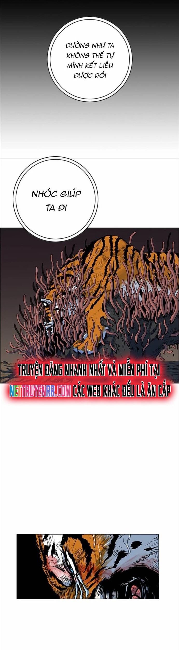 Anh Trai Tôi Là Hổ Chương 72 Ảnh 11