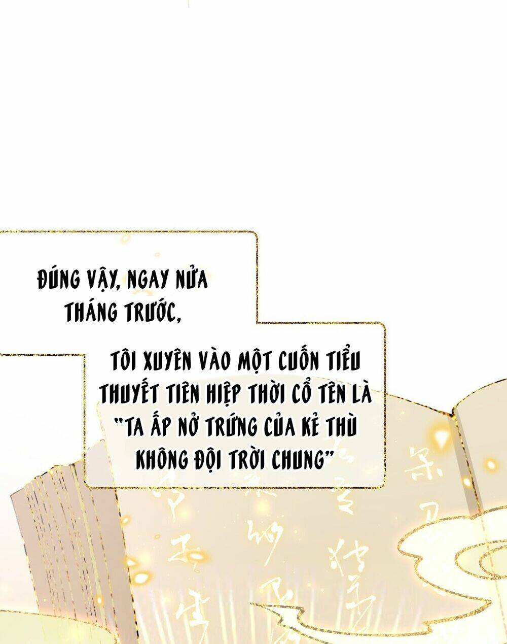 Sau Khi Nhặt Được Trứng Rồng, Ta Quyết Định Nuôi Hắn Trở Nên Xấu Xa Chương 1 Ảnh 29