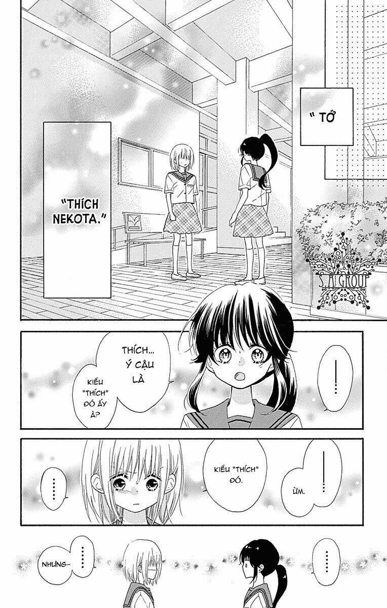 Nekota No Koto Ga Ki Ni Natte Shikatanai Chương 34 Ảnh 8