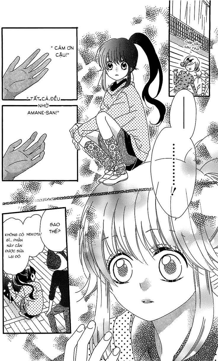 Nekota No Koto Ga Ki Ni Natte Shikatanai Chương 14 Ảnh 26