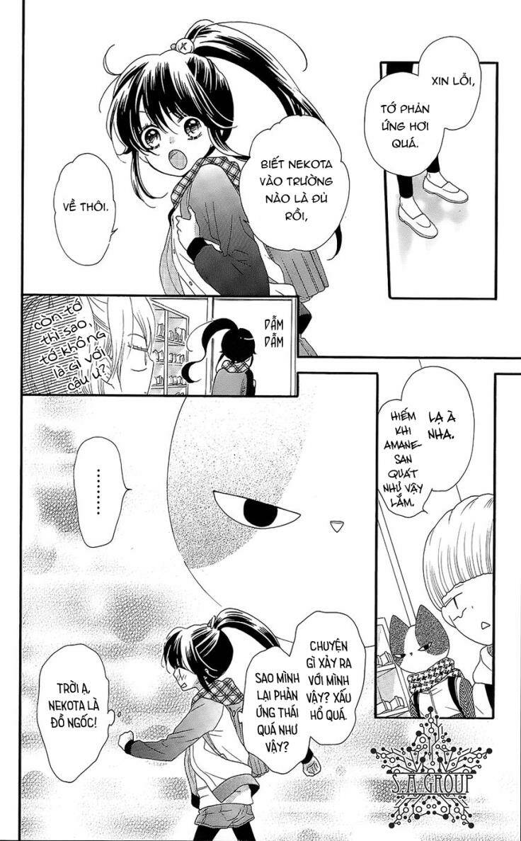 Nekota No Koto Ga Ki Ni Natte Shikatanai Chương 24 Ảnh 12