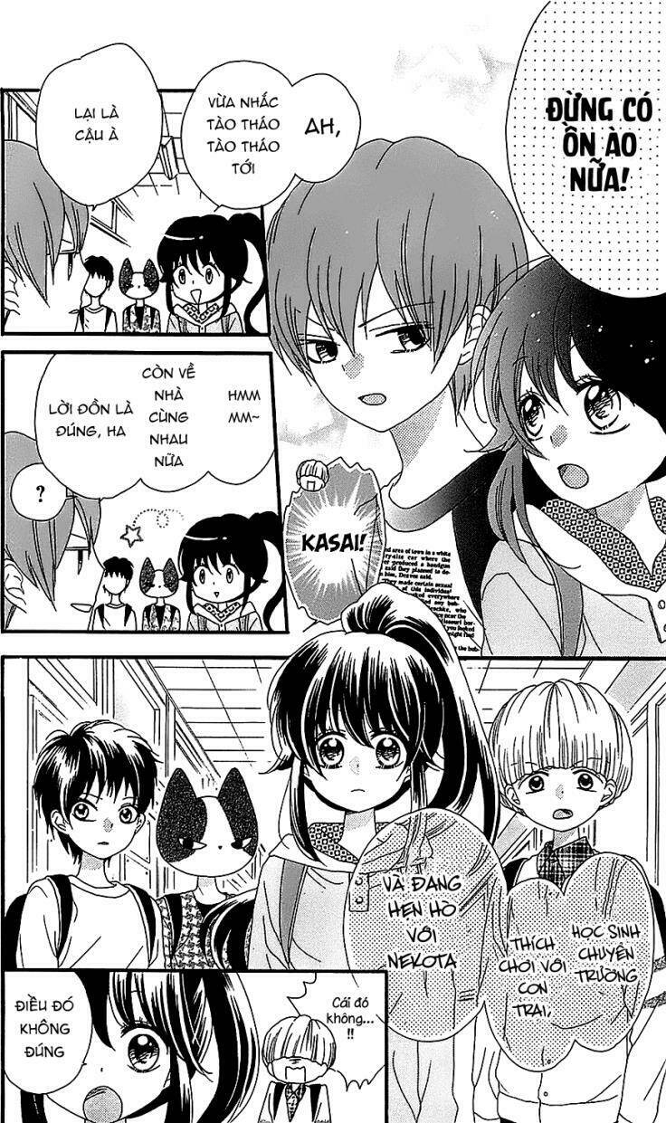 Nekota No Koto Ga Ki Ni Natte Shikatanai Chương 14 Ảnh 16