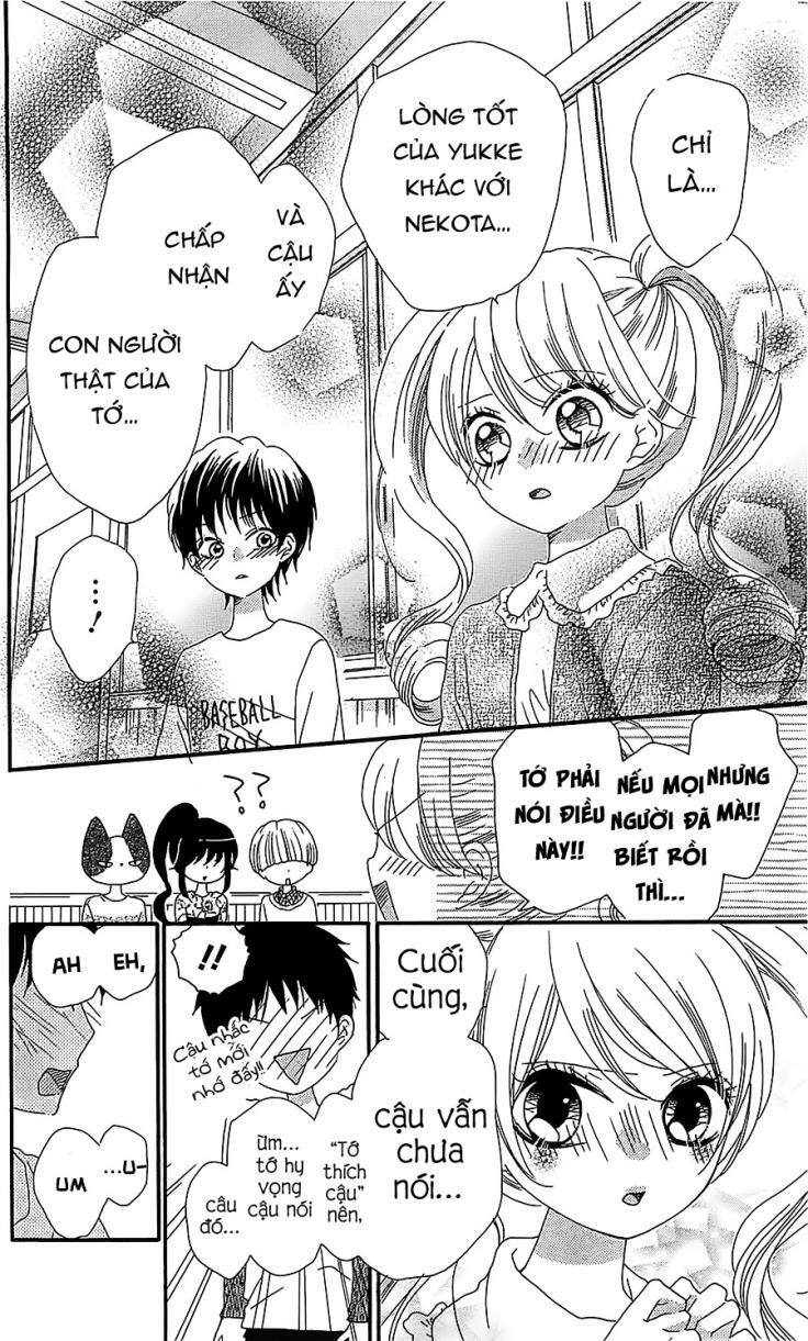 Nekota No Koto Ga Ki Ni Natte Shikatanai Chương 17 Ảnh 14