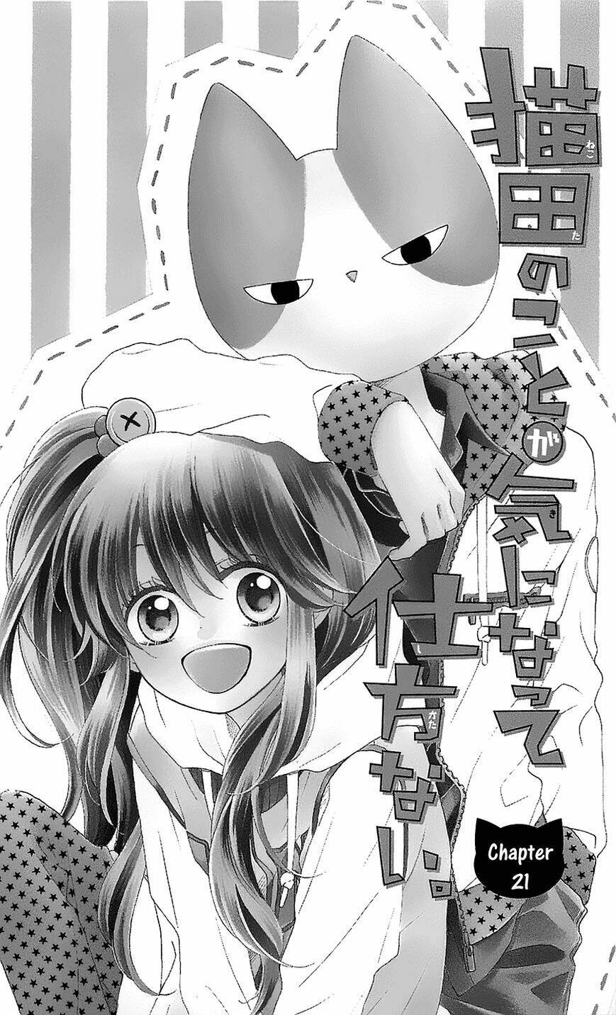 Nekota No Koto Ga Ki Ni Natte Shikatanai Chương 21 Ảnh 5
