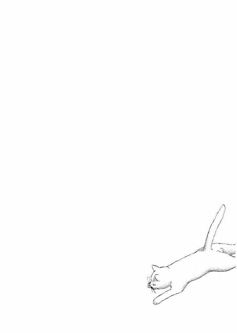 Neko Ga Nishi Mukya Chương 1 Ảnh 11