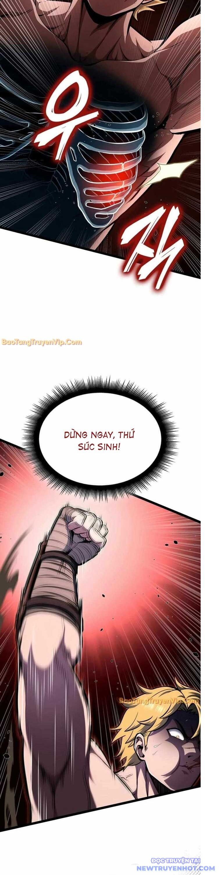 Nhà Vô Địch Kalli Chương 101 Ảnh 23