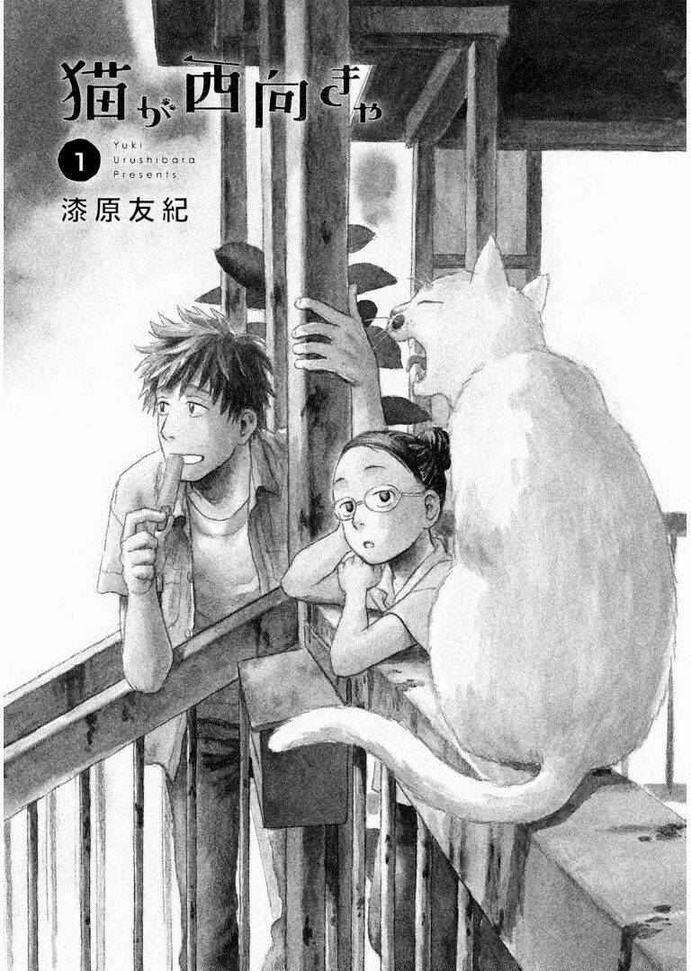 Neko Ga Nishi Mukya Chương 1 Ảnh 8