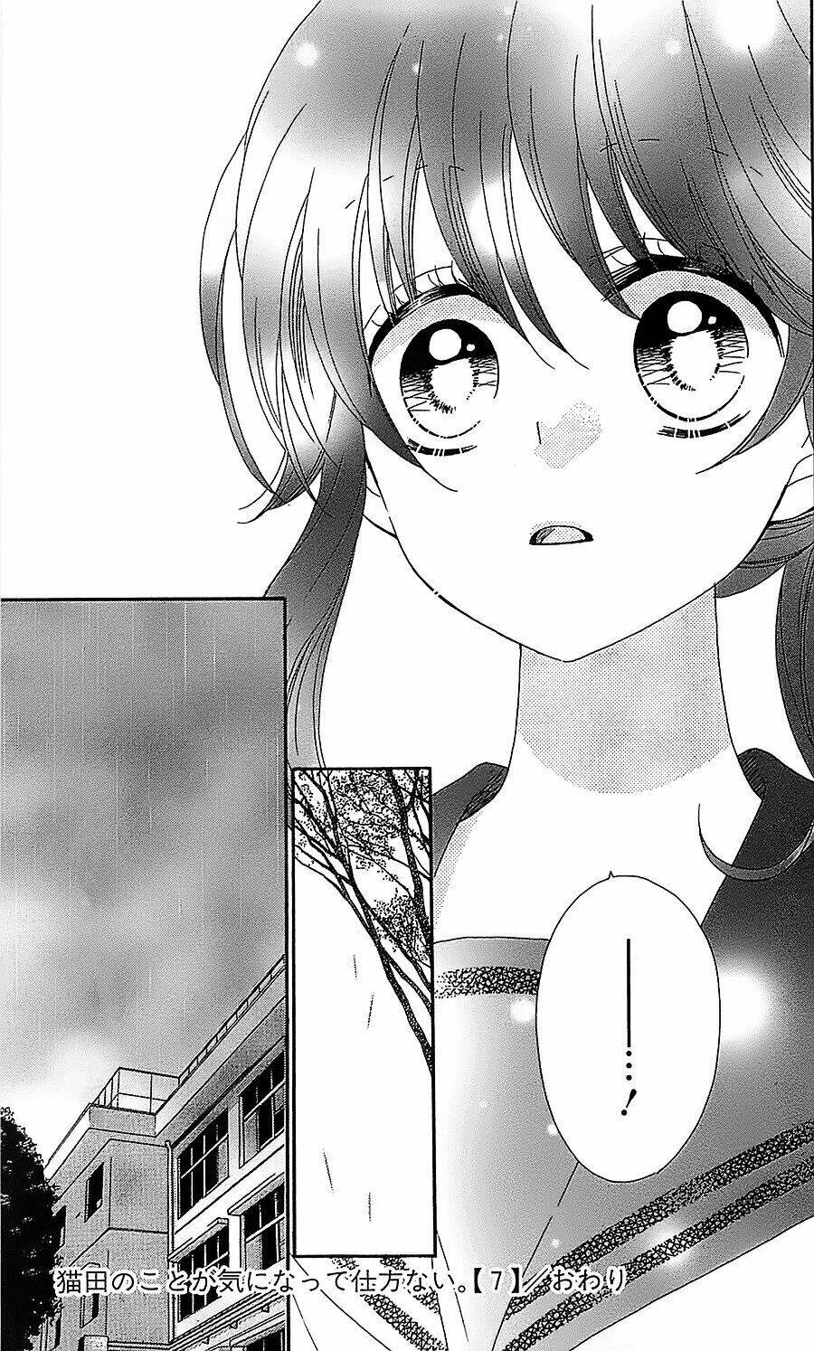 Nekota No Koto Ga Ki Ni Natte Shikatanai Chương 33 Ảnh 33