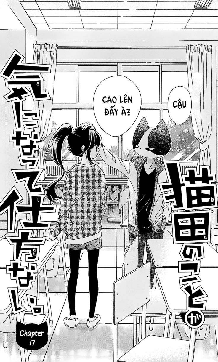 Nekota No Koto Ga Ki Ni Natte Shikatanai Chương 17 Ảnh 5