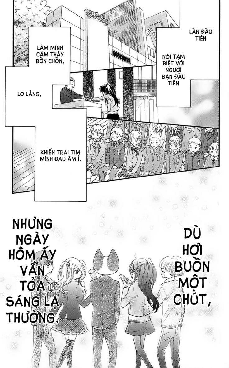 Nekota No Koto Ga Ki Ni Natte Shikatanai Chương 24 Ảnh 33