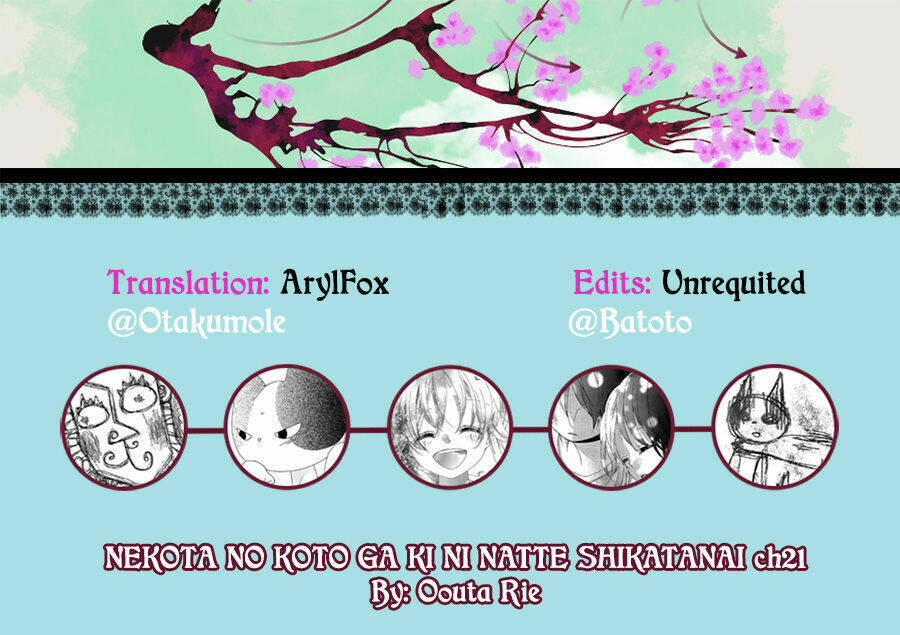 Nekota No Koto Ga Ki Ni Natte Shikatanai Chương 21 Ảnh 4