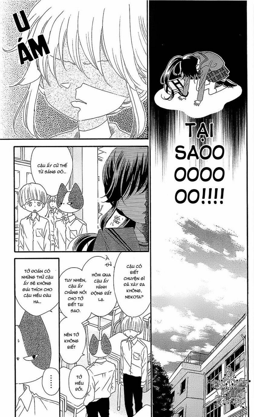 Nekota No Koto Ga Ki Ni Natte Shikatanai Chương 30 Ảnh 10