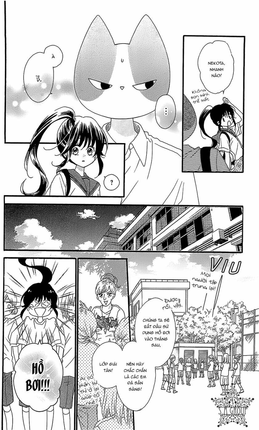 Nekota No Koto Ga Ki Ni Natte Shikatanai Chương 31 Ảnh 14