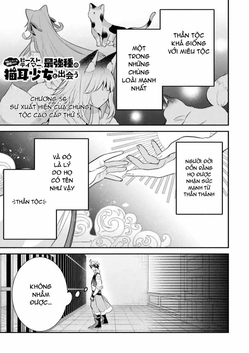 Yuusha Party Wo Tsuihou Sareta Beast Tamer, Saikyou Shuzoku Nekomimi Shojo To Deau Chương 56 Ảnh 5