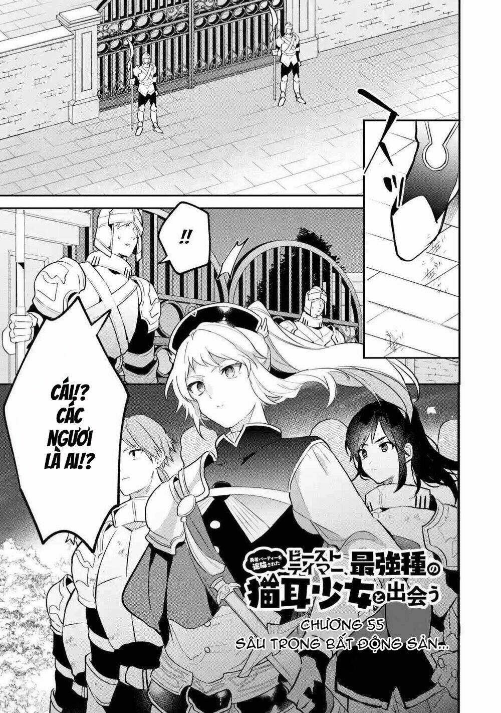 Yuusha Party Wo Tsuihou Sareta Beast Tamer, Saikyou Shuzoku Nekomimi Shojo To Deau Chương 55 Ảnh 5