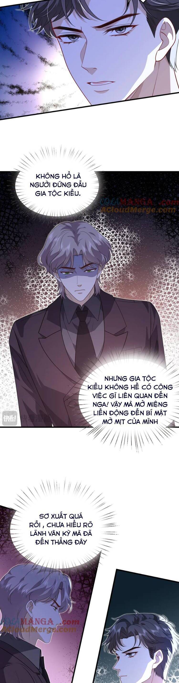 Phu Nhân, Thân Phận Của Người Lộ Rồi Chương 59 Ảnh 11