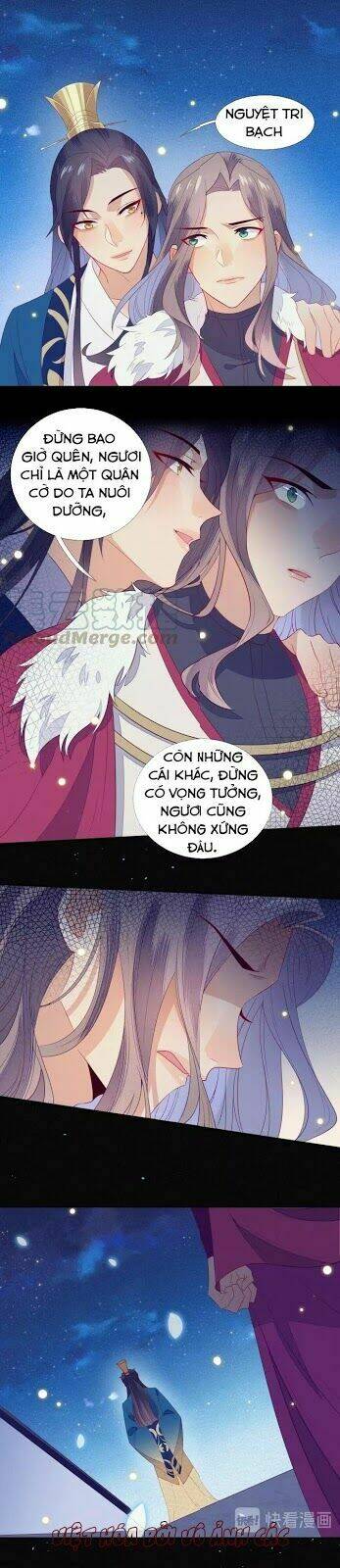 Thừa Tướng, Trẫm Biết Sai Rồi! Chương 22 Ảnh 8
