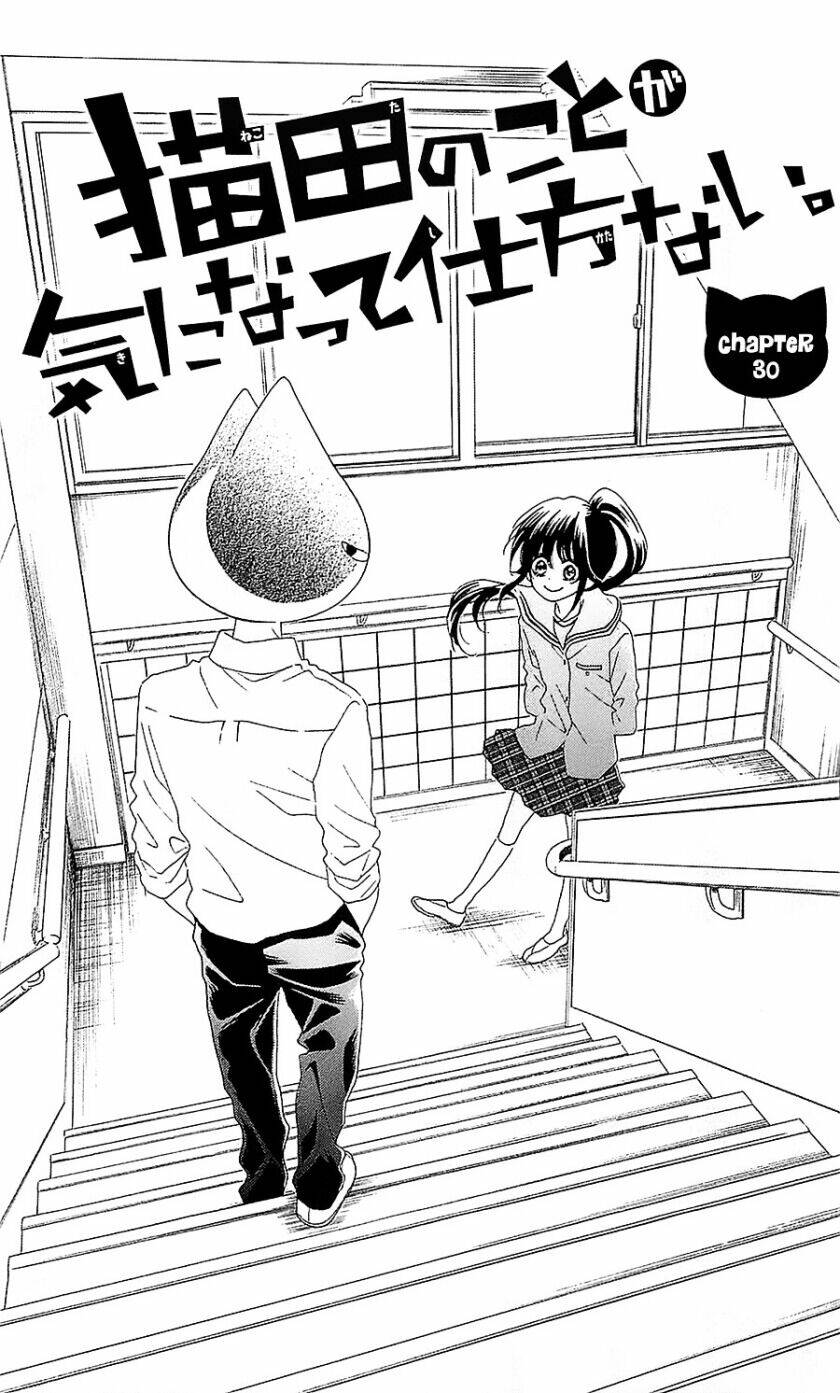 Nekota No Koto Ga Ki Ni Natte Shikatanai Chương 30 Ảnh 4