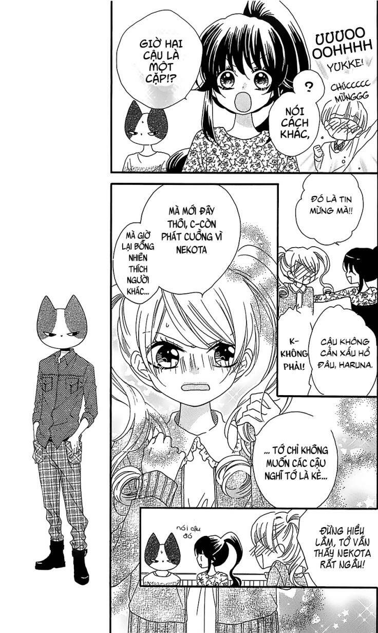 Nekota No Koto Ga Ki Ni Natte Shikatanai Chương 17 Ảnh 13
