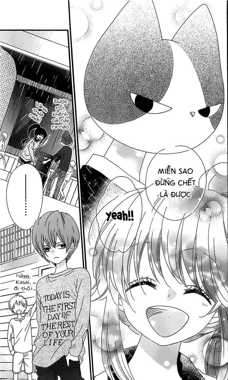 Nekota No Koto Ga Ki Ni Natte Shikatanai Chương 14 Ảnh 29