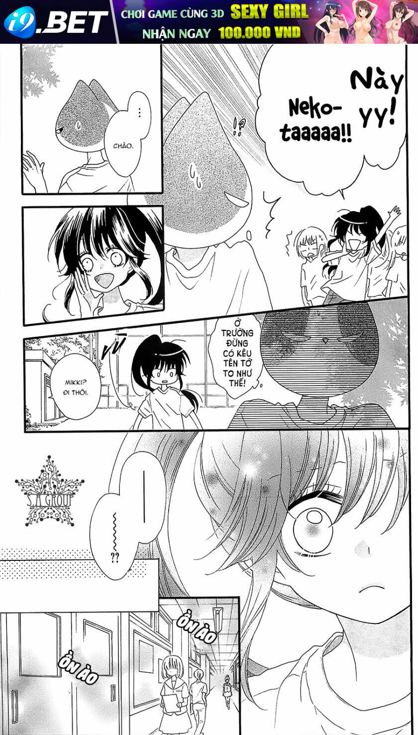 Nekota No Koto Ga Ki Ni Natte Shikatanai Chương 31 Ảnh 17