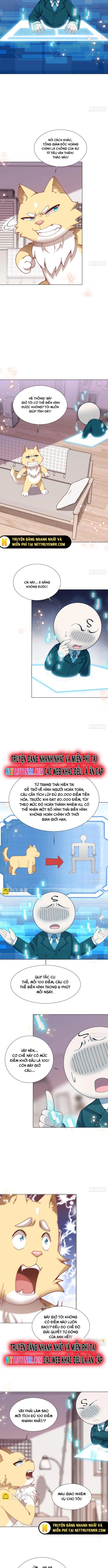 Kế Hoạch Bồi Dưỡng Streamer Của Cẩu Hoàng Chương 11 Ảnh 5