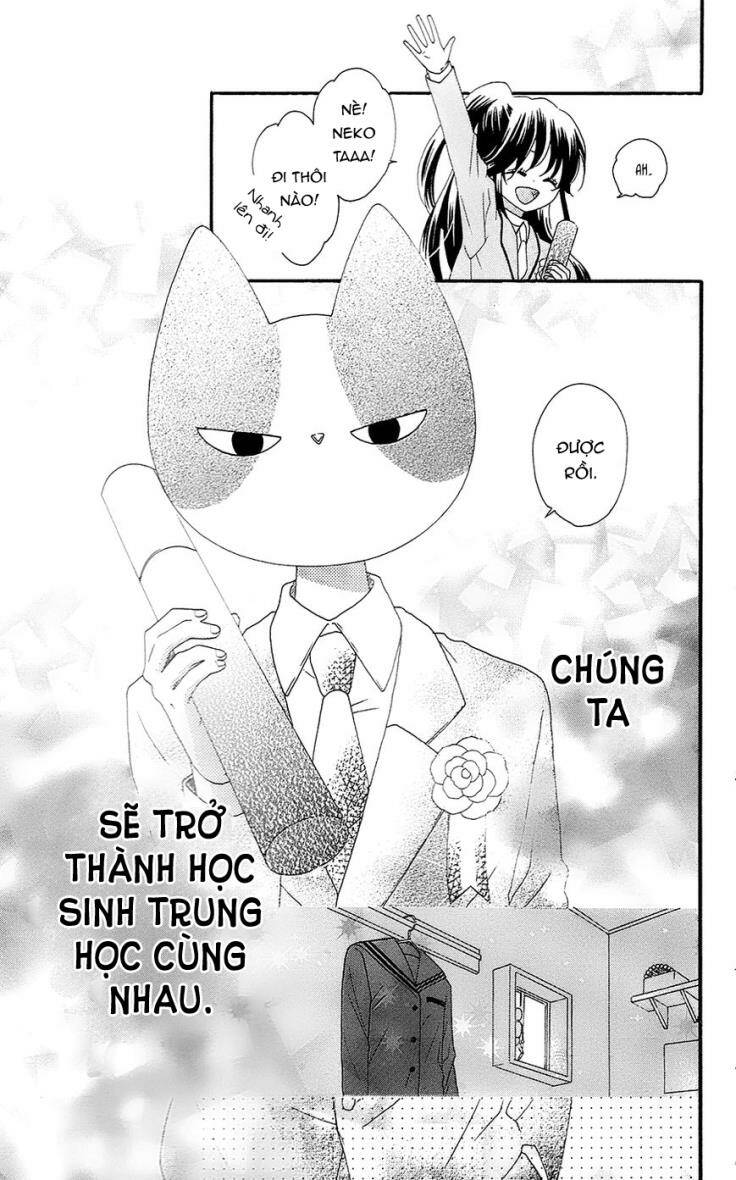 Nekota No Koto Ga Ki Ni Natte Shikatanai Chương 24 Ảnh 39