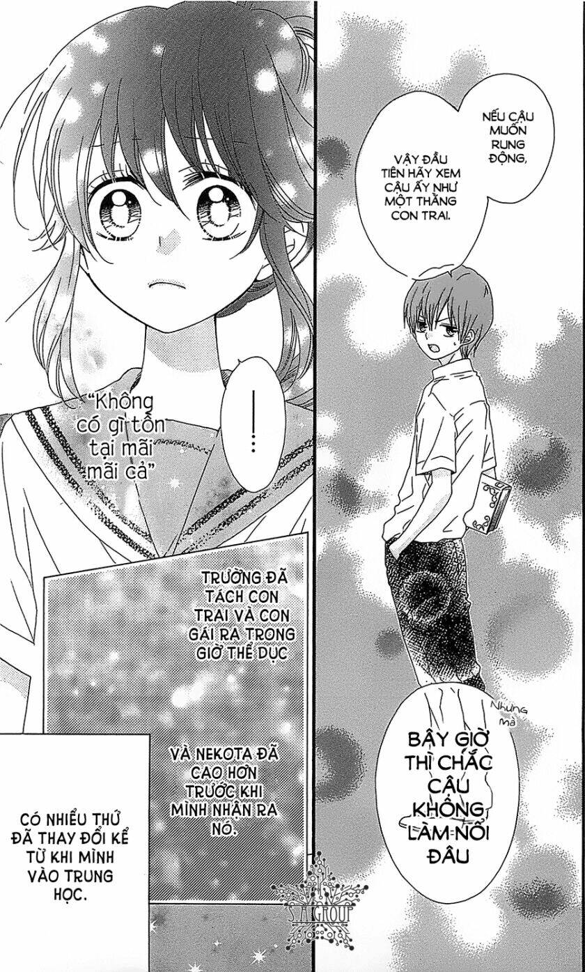 Nekota No Koto Ga Ki Ni Natte Shikatanai Chương 31 Ảnh 31