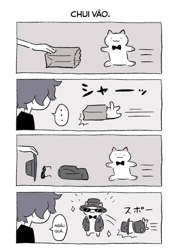 Chú Mèo Kỳ Diệu Kyuu-Chan Chương 800.5 Ảnh 9