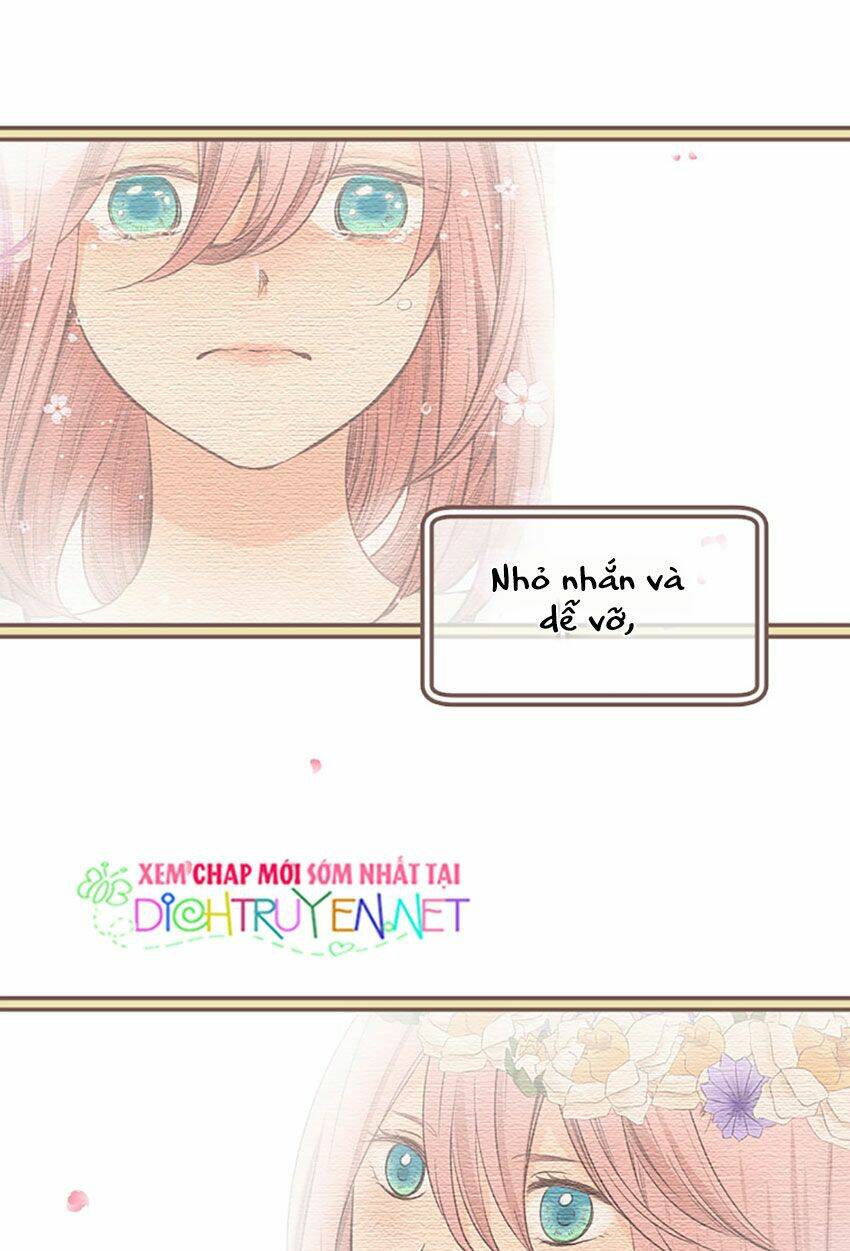 Nàng Persephone Và Chàng Hades Chương 15 Ảnh 13