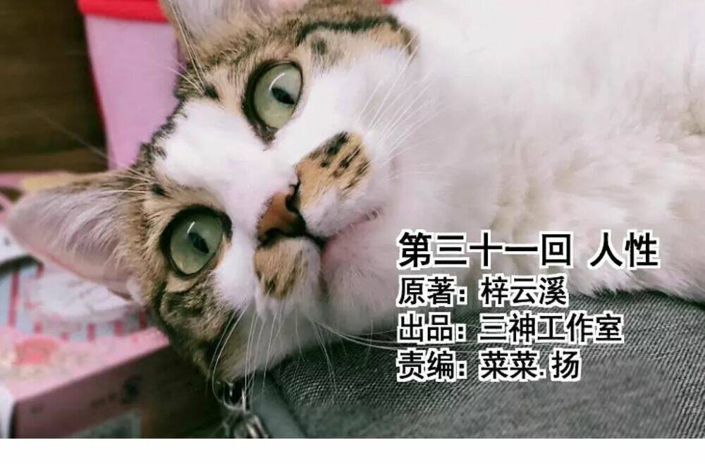 Thái Tử Phi Nhà Ta Thật Hung Hăng Chương 31 Ảnh 5