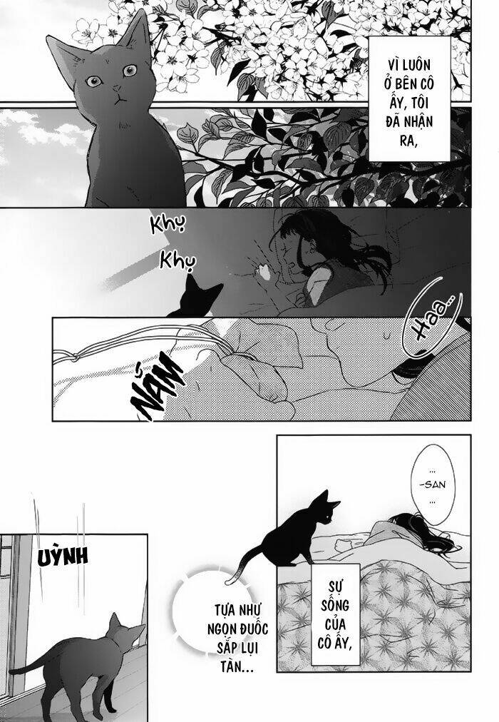 Watashi No Ookami-Kun Chương 18 Ảnh 14
