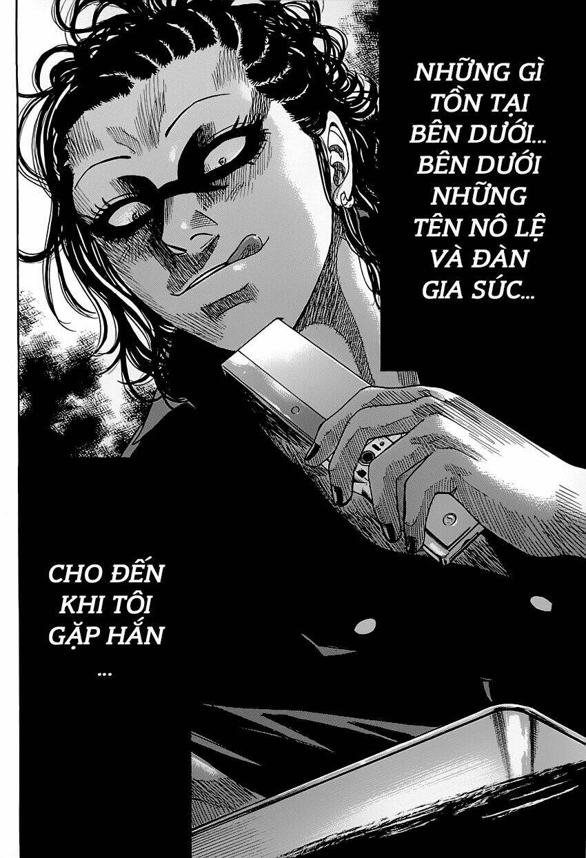 Shimauma Chương 1 Ảnh 32