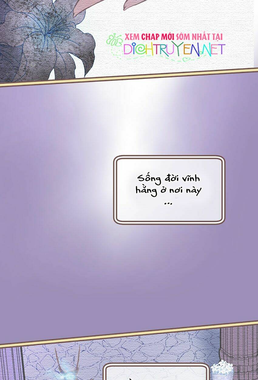 Nàng Persephone Và Chàng Hades Chương 15 Ảnh 9