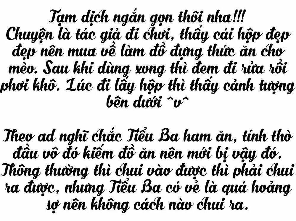 Thái Tử Phi Nhà Ta Thật Hung Hăng Chương 31 Ảnh 3