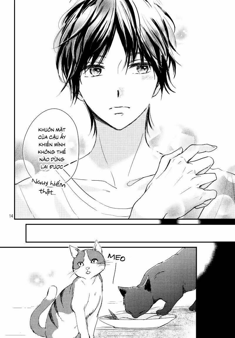 Houkago, Koishita Chương 14 Ảnh 15