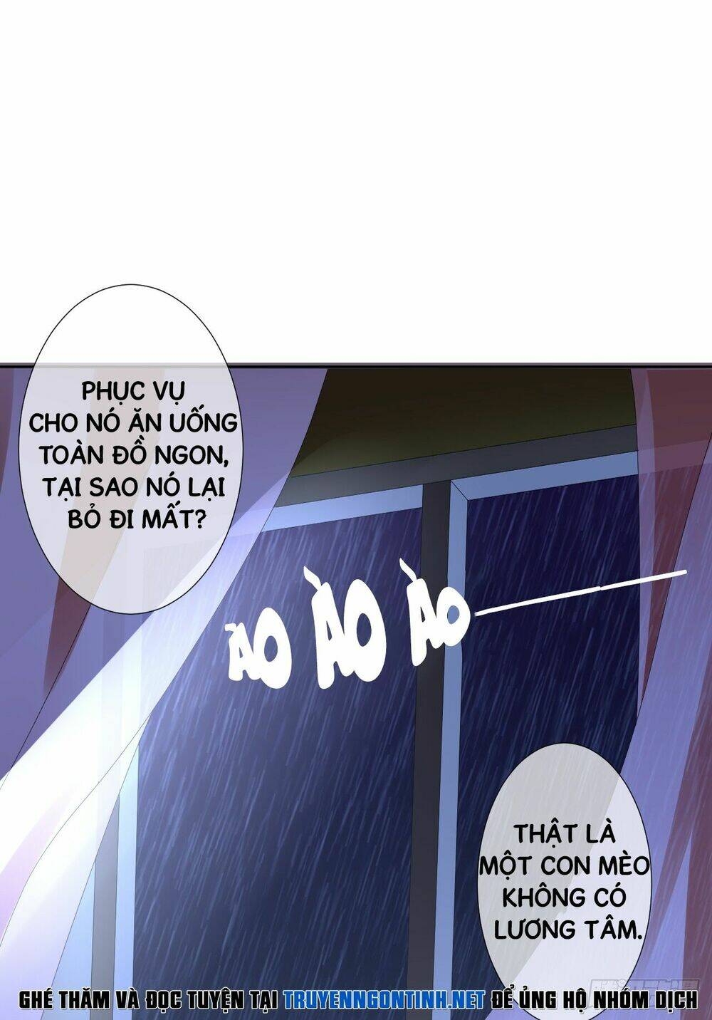 Miêu Hệ Giáo Thảo Độc Sủng Ái Chương 2 Ảnh 11