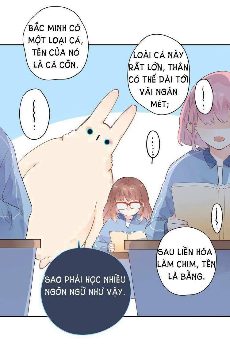 Dolo Mệnh Vận Giao Nang Chương 31 Ảnh 20
