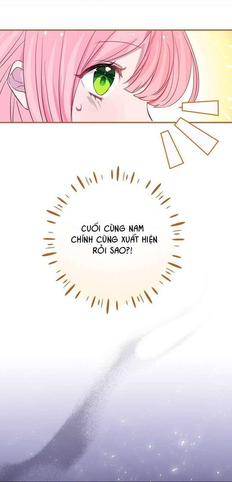 Tôi Không Muốn Có Con Với Nam Chính Chương 2 Ảnh 17