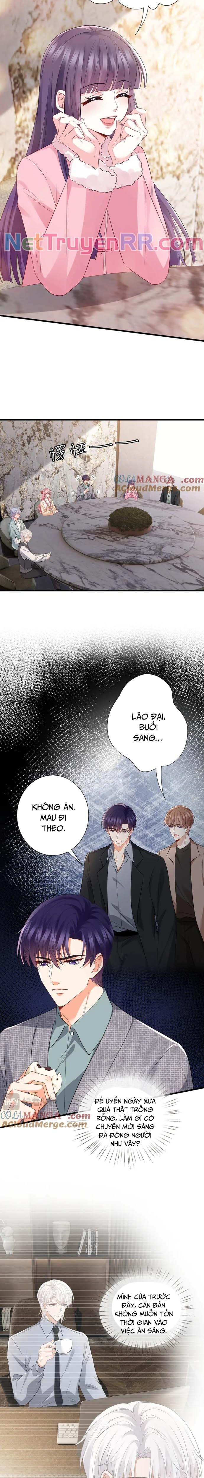 Danh Môn Chí Ái Chương 530 Ảnh 4