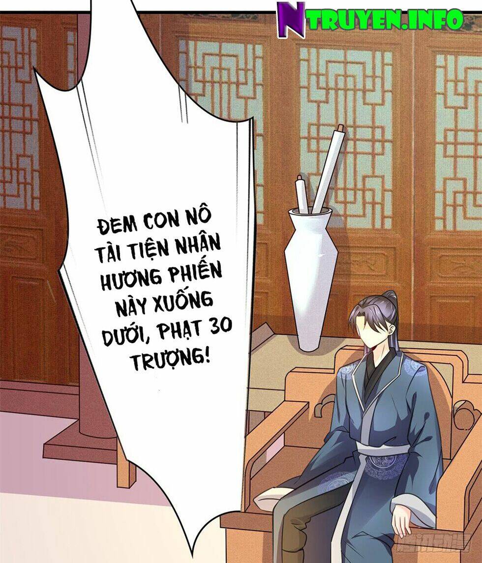 Phượng Hoàng Ngàn Năm Chương 29 Ảnh 10