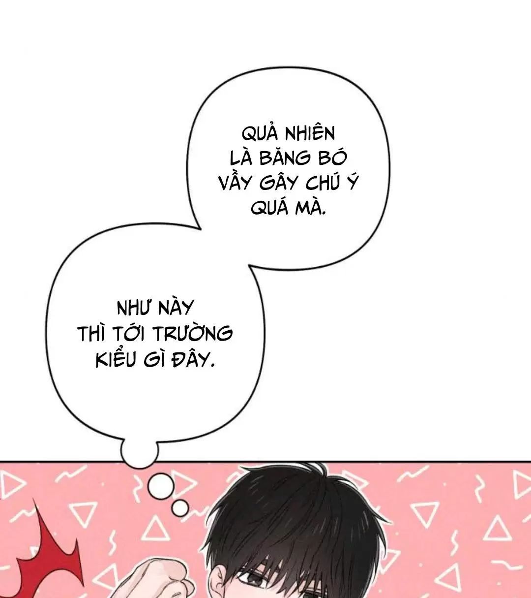 Bí Mật Thanh Xuân Chương 94 Ảnh 82