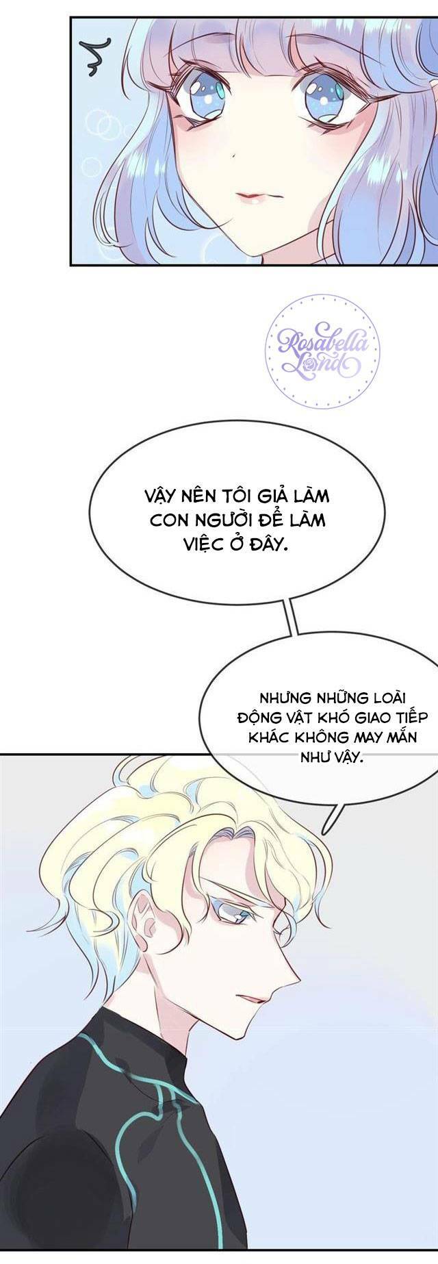 Chiếc Váy Của Người Cá Chương 37 Ảnh 8
